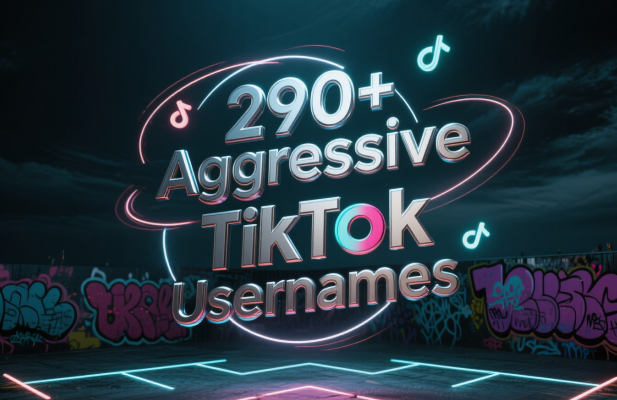 290+ Aggressive TikTok Usernames for Bold Impact