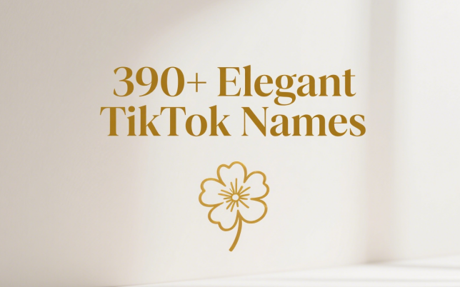 390+ Elegant TikTok Names for a Sophisticated Profile